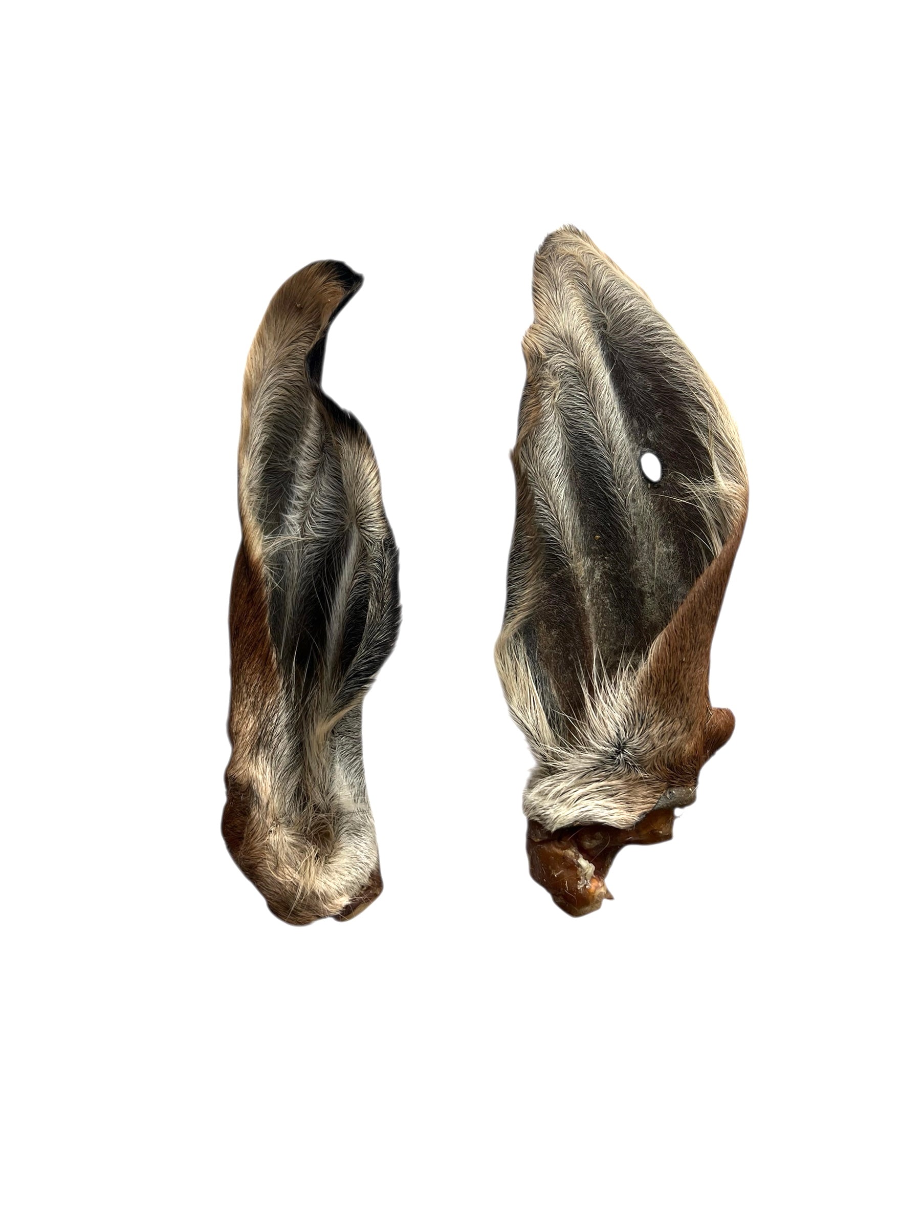 Air Dried Calf Ears